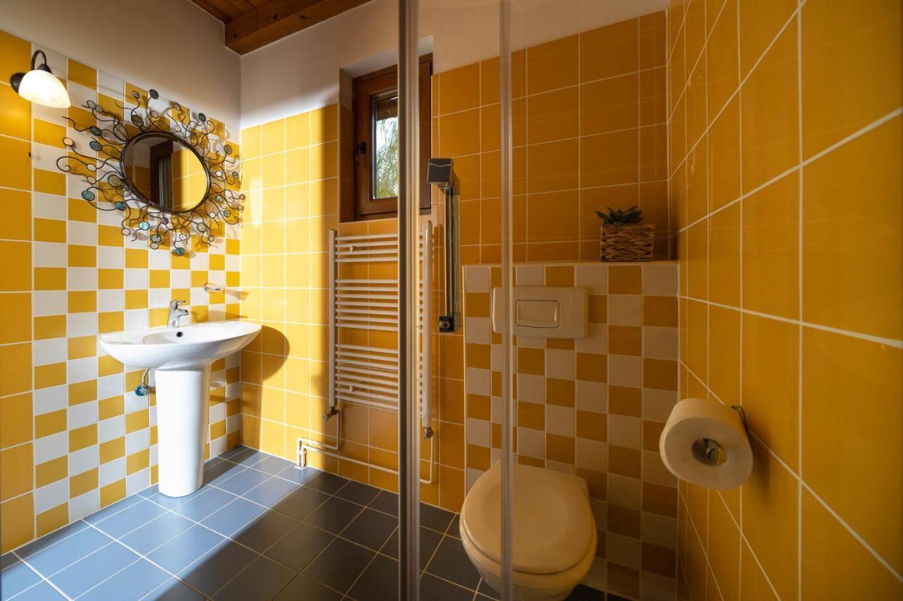 Apartment Villa Ema クラピンスケ・トプリツェ エクステリア 写真