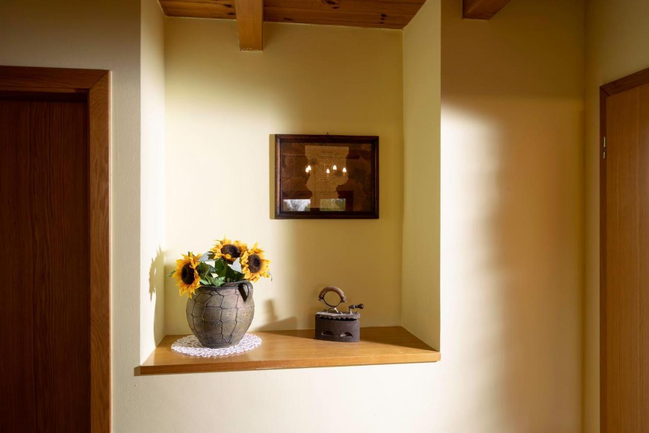 Apartment Villa Ema クラピンスケ・トプリツェ エクステリア 写真